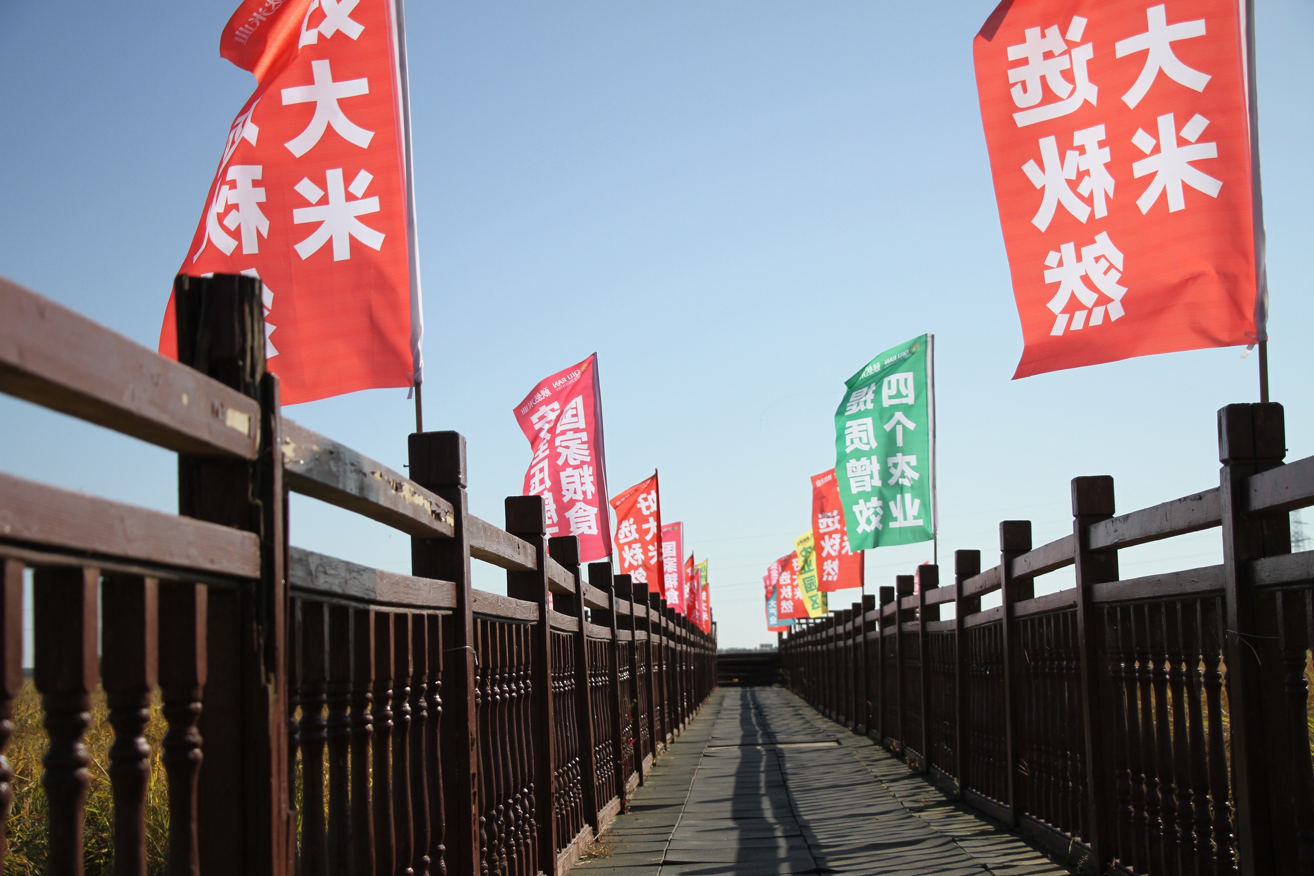 IMG_0029 - 副本.JPG