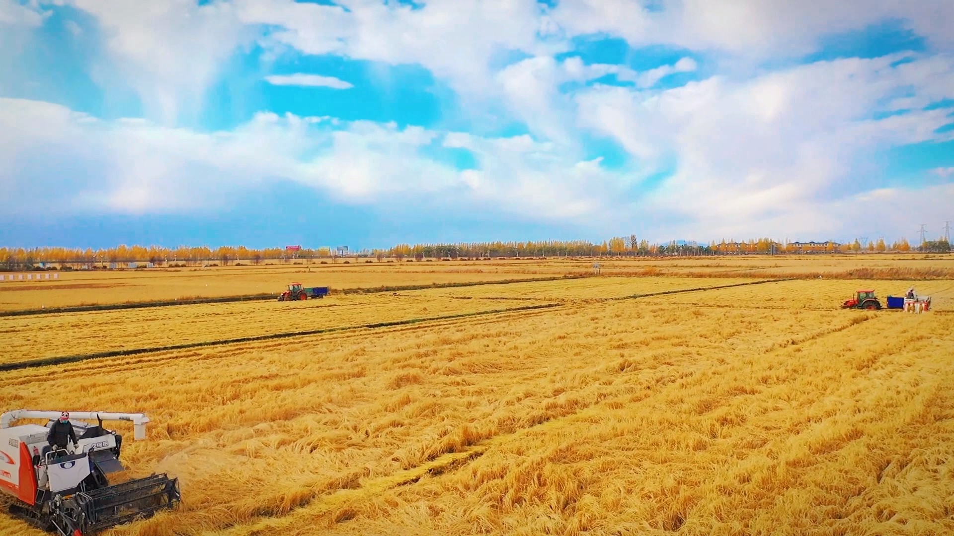 網(wǎng)易提供 - frame at 0m10s.jpg